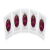 Yogurt Starter Cultures - Pack of 5 Freeze-dried Culture Sachets for Acidophilus Yogurt view 1