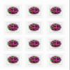 Yogurt Starter Cultures - Pack of 12 Freeze-dried Culture Sachets for Acidophilus Yogurt (12) view 3