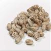 Camellia Brand Pinto Beans Dry Bean, 2 Pound Bag view 1