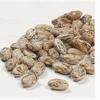 Camellia Brand Pinto Beans Dry Bean, 2 Pound Bag view 3