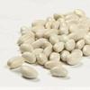Camellia Brand Dry Baby Lima Beans, 2 Pound Bag view 1
