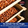 Blue Runner Creole Cream Style Black Beans 16 Ounce (Pack of 12) view 4