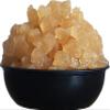 12 Brewing Bags Plus a HALF POUND Original Water Kefir Grains Exclusively from Florida Sun Kefir view 1