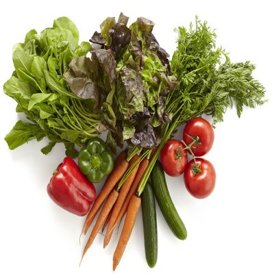 Salad Lover