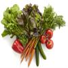 Salad Lover view 1