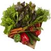 Salad Lover view 3
