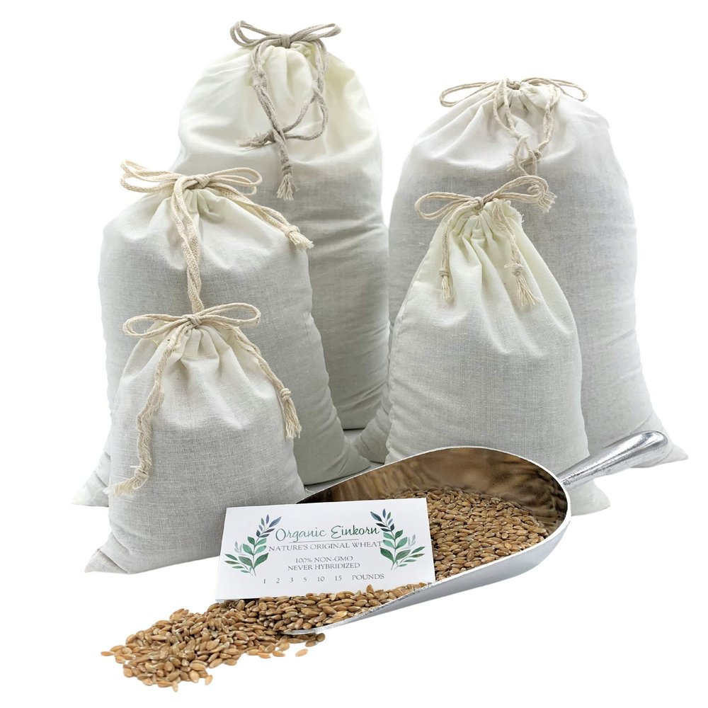 Organic Einkorn Whole Grain Farro Berries, USA Grown. Gluten Problems? Try Einkorn! Non-gmo. Original and Non-hybridized, Plastic-free Packaging (Einkorn Berries, 3 lb.)