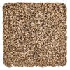 Briess 1927A Pale Ale Malt 3.5L - 1 lb , Brown view 1