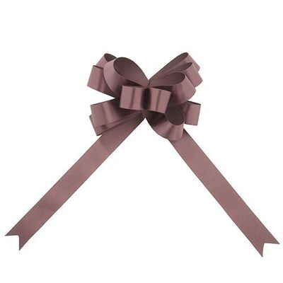 Aoyama Ribbon RA2350-60 Bouquet Bow Swift Corda 1.0 inch (25 mm) x 25 Pieces