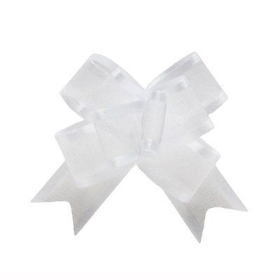 Aoyama Ribbon RA002419-001 Shared Satin Charm Bow 15X25 My