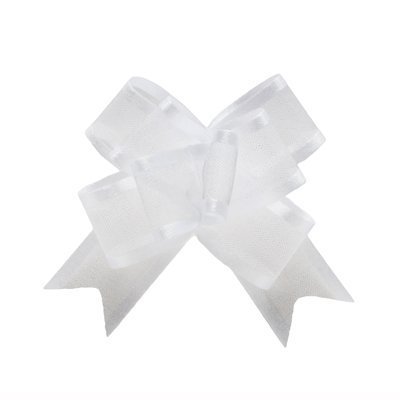 Aoyama Ribbon RA002419-001 Shared Satin Charm Bow 15X25 My