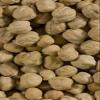 Shiloh Farms - Organic Garbanzo Beans - 15 Ounce Bag (Pack of 2) view 2