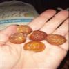 1/2lb Shep's Organic Soap Nuts (Soap Berries) Natural Organic Laundry Detergent and Softener view 3