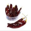 Dried Chile Puya Peppers/Weights: 4 Oz, 8 Oz, 1 Lb, 2 Lbs, 5 Lbs, and 10 Lbs (8 oz) view 3