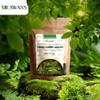 100% Natural Premium Grade Air Dried Curry Leaves (not broken or crushed) view 3