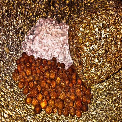 Allspice Salt from the Seasoned Sea Salts Collection by Merchant Spice Co.