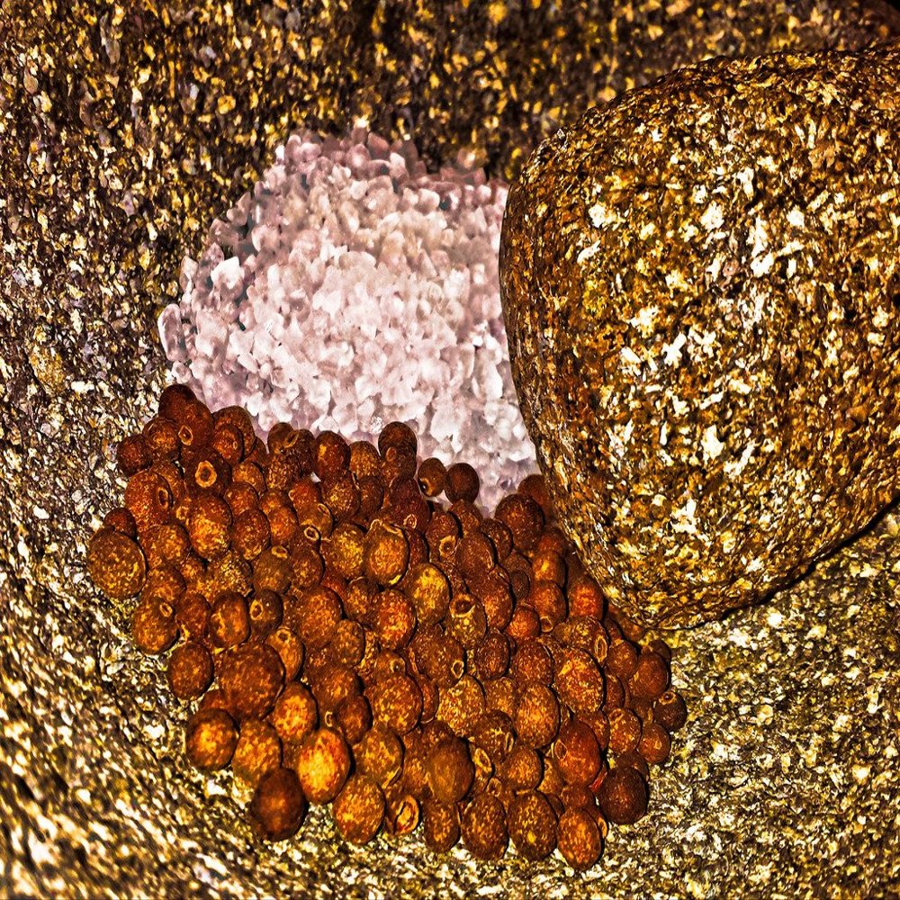 Allspice Salt from the Seasoned Sea Salts Collection by Merchant Spice Co.
