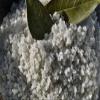 Bay Salt from the Seasoned Sea Salts Collection by Merchant Spice Co. view 1