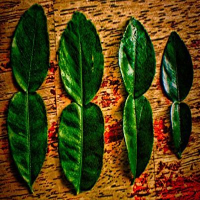 Kaffir Lime Sugar from the Seasoned Sugars Collection by Merchant Spice Co.