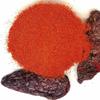 8 Ounce Ground Chipotle Pepper Seasoning - Mildly spicy and super versatile, this is the perfect addition to any dish. - Country Creek LLC view 4