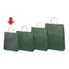 Taka Stamp Gift Bags, 50-6108, Handbag, Emerald, Small, 10 Pieces view 2
