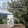 Island Nutrition, Olive Leaf Extract Capsules  25% Oleuropein (40% Total Polyphenols), Plus 20% Hydroxytyrosol Complex  100% Grown & Extracted in Spain (90 Capsules) view 4
