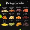 Oh! Nuts Dried Fruits and Nuts Gift Basket - Gourmet Gift Baskets - Healthy Assorted Nuts and Dried Fruit Gift Box - Crafted in USA, Sealed Fresh in Individual Packs (Green Box) view 3