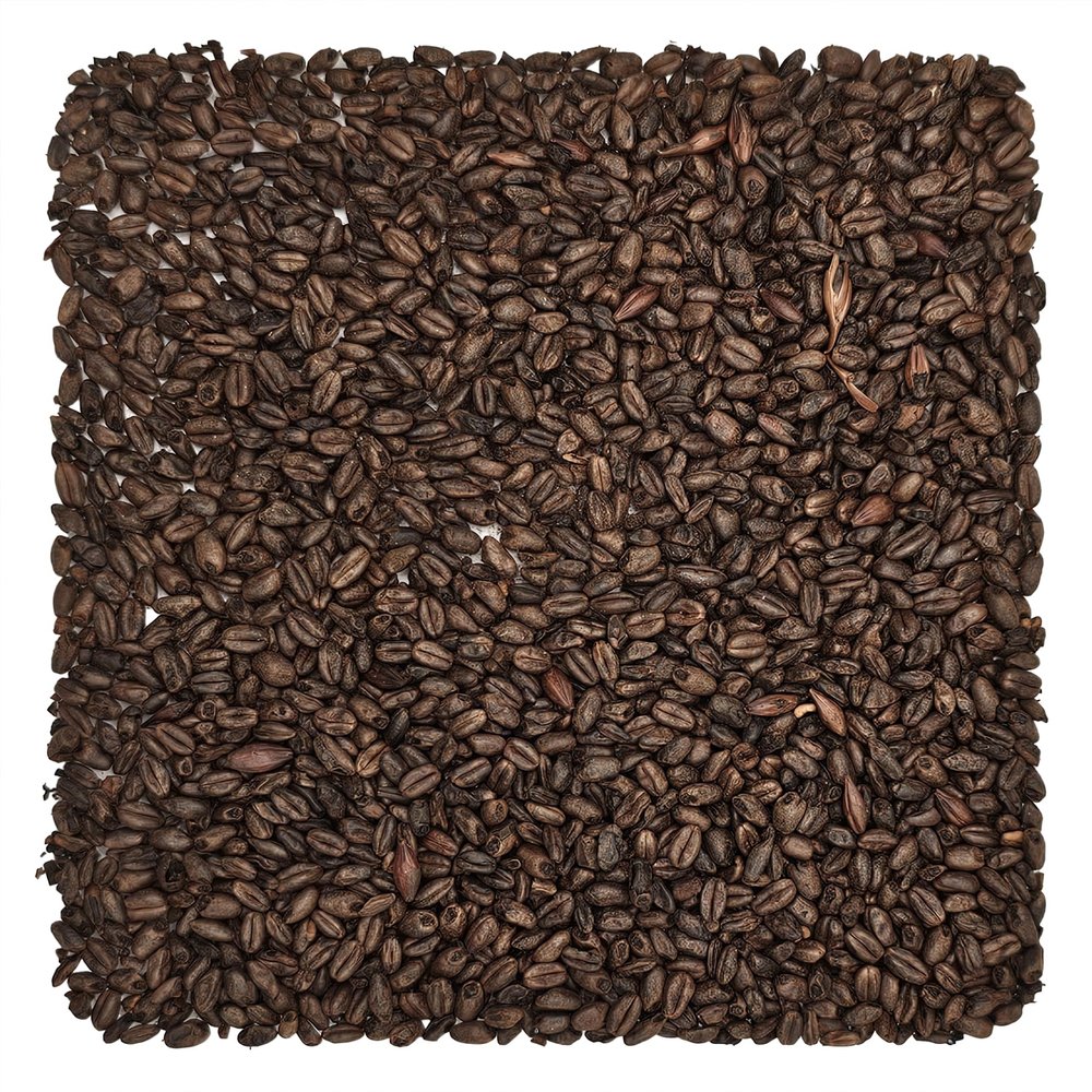 Briess BJ-5U8M-8RRM Chocolate Malt 1 lb., Brown