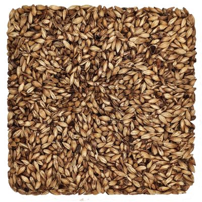 Briess QA-8A5L-Y695 Caramel 40 L Malt 1 lb., Brown