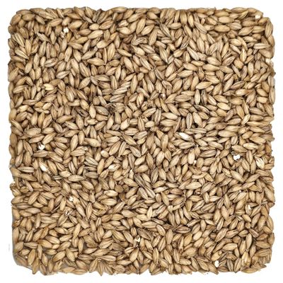 Briess 26-QVZH-HVSI Grain U.S. Brewers Malt for Beer Making & Home Brewing 1 lb. (2 Row Brewers), Brown