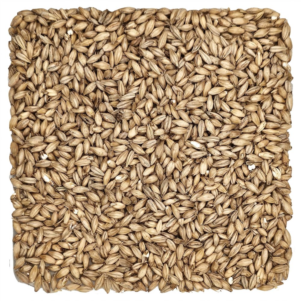 Briess 26-QVZH-HVSI Grain U.S. Brewers Malt for Beer Making & Home Brewing 1 lb. (2 Row Brewers), Brown