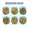 BREWIX, Discover Calm Premium Herbal Tea Christmas Gift Box (3.53oz/50+ Cups) | Tea Gift Sets For Tea Lover | 6 Unique Herbal Teas | Best for Birthdays, Anniversaries & Holidays view 2
