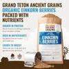 Grand Teton Ancient Grains - 100% Organic Einkorn Berries, Premium Food-Grade Farro Piccolo, For Milling into Flour, Baking, Pilafs, & Soups, 7.5 lbs view 2