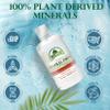 Organa Trace Minerals - Liquid Colloidal Minerals Supplements - Plant Derived for Maximum Absorption - Colloidal Minerals Liquid for Wellness - 32 Ounces view 3