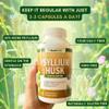 NutriONN PSYLLIUM Husk Capsules - 1450mg Per Serving - 240 Capsules - Double Strength - Premium Psyllium Fiber Supplement - Great for Digestion and Regularity - 100% Natural Soluble Fiber view 3