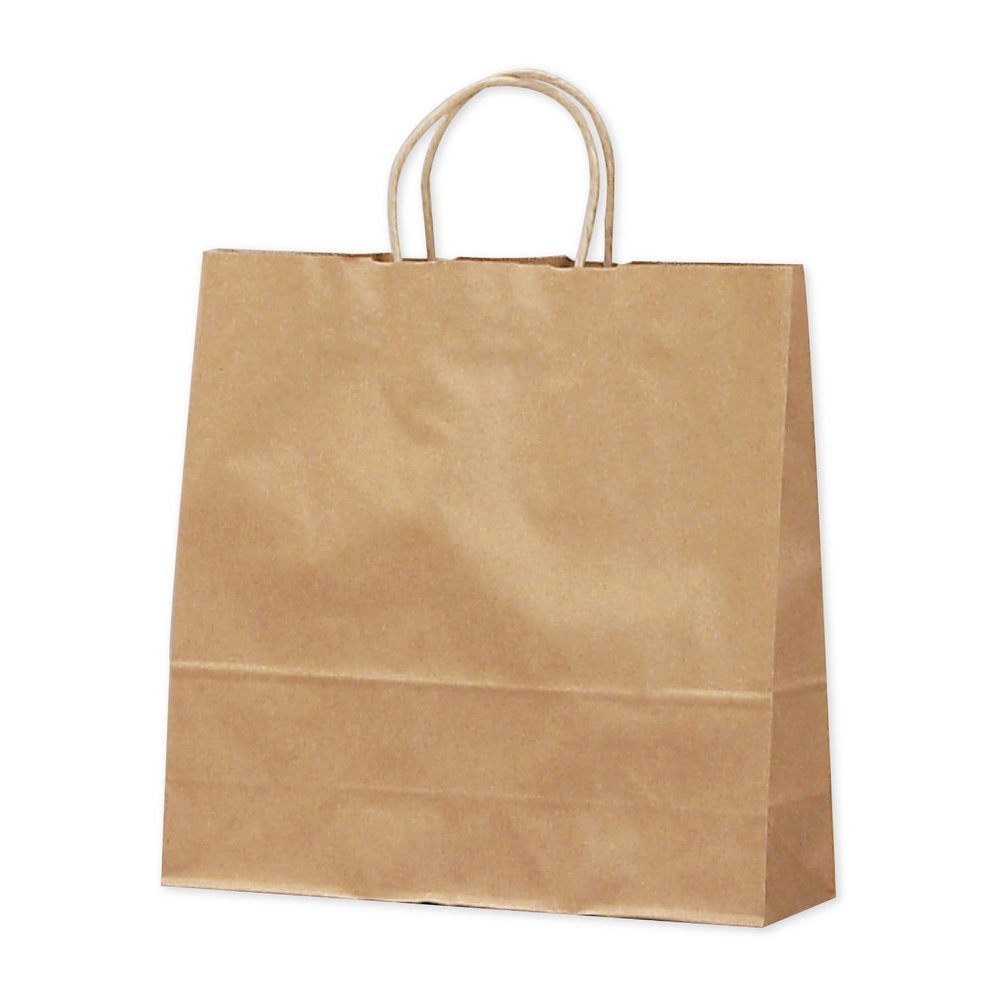 Takajirushi 50-5201 Gift Bags, Handbag, Unbleached, Plain, Medium, 50 Sheets