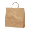 Takajirushi 50-5201 Gift Bags, Handbag, Unbleached, Plain, Medium, 50 Sheets view 1