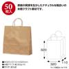 Takajirushi 50-5201 Gift Bags, Handbag, Unbleached, Plain, Medium, 50 Sheets view 2