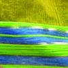 Club Pack of 12 Yellow and Green Striped Gift Bag 5" x 3.5" view 1
