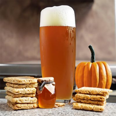 Scrumpsillyicious Honey Graham Cracker Pumpkin Ale, Beer Making Extract Kit