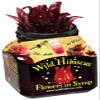 Wild Hibiscus Flowers in Syrup | 8.8 oz (250 g) Jar | Hand-Crafted Whole Hibiscus Flowers in Sweet Syrup | Perfect for Cocktails, Desserts & Gourmet Garnishes [Pack of 3] view 2