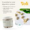 Yoli Enzyme - Digestive Enzymes - Gut Health Supplements for Women and Men - Digestion Supplement, 60 Count view 2
