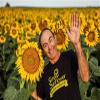 Simply Sunflower All Natural Sunflower Oil, 16 FZ view 4