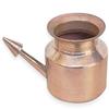 Wutsar RoyaltyLane Copper Neti Pot - Natural Ayurveda Cleaning System for Sinus & Nasal Passage - 3" x 3" Y view 1