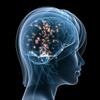 Pure L-Carnitine L-Tartrate Powder (4 oz) Bulk Supplements view 2