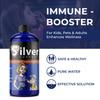 Silver Support - Nano Ionic Silver Technology - Liquid Immune Booster for All Ages and Pets - Cutting-Edge 10 ppm Formula Enhances Wellness - 32oz view 3