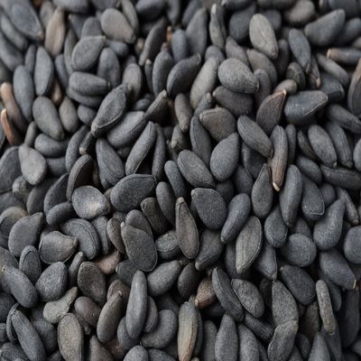 1500 Black Sesame Sesamum Indicum Vegetable Flower Seeds