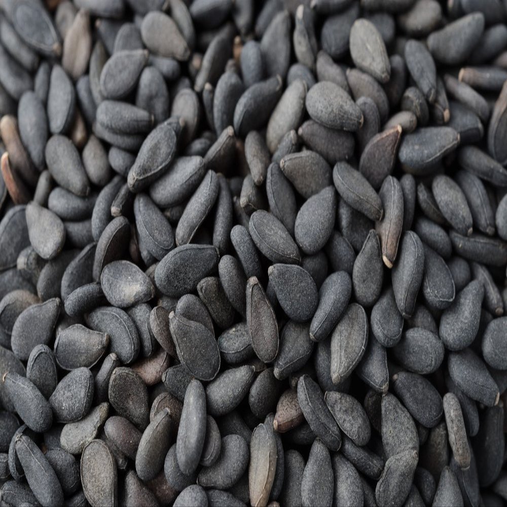 1500 Black Sesame Sesamum Indicum Vegetable Flower Seeds