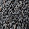 1500 Black Sesame Sesamum Indicum Vegetable Flower Seeds view 1