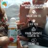 Magnesium Oil Roll-On for Kids with Aloe Vera for Muscle Relaxation & Joint Relief, Fast-Absorbing Topical, Soothing Formula for Sore Muscles, Tension & Cramps, Natural Calm Support, 3 fl oz view 2